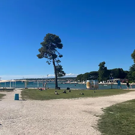 With Terrace Near Sea - Angela's 公寓 扎达尔